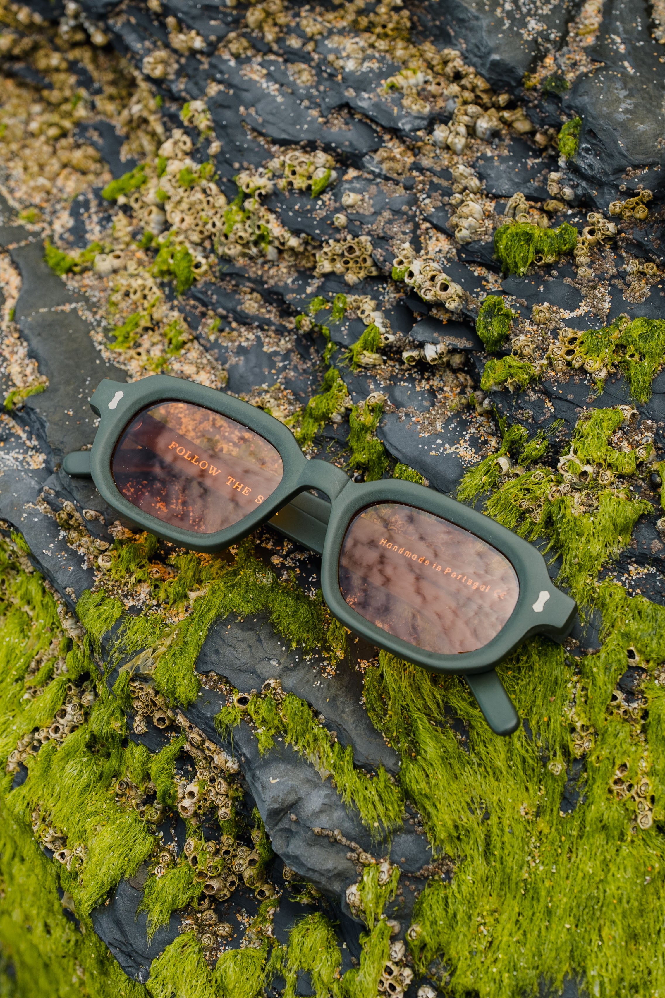 Sunglasses with matte green - Collaboration with Follow The Sun - Coup D'État Portugal
